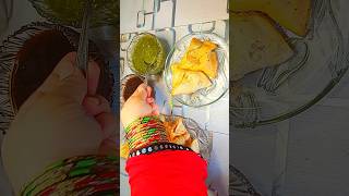 Samosa Chaat Every Snake food snacks samosachaat [upl. by Ariajay]