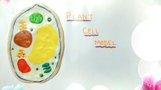 How to make Plant cell model with slime and Clay for science school projects [upl. by Salta]