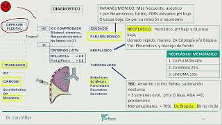 Neumología  Derrame pleural [upl. by Leonanie]