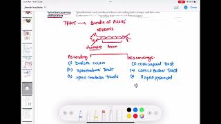 ascending and descending tract of spinal cord neurology 60  First Aid USMLE Step 1 in UrduHindi [upl. by Nakah]