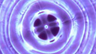 A  432 Hertz Cymatics [upl. by Yvette]