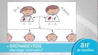 Air de Familles  Drépanocytose dépistage nécessaire [upl. by Leora]