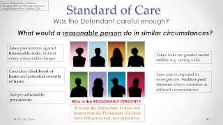 Tort of Negligence Standard of Care [upl. by Airrej906]