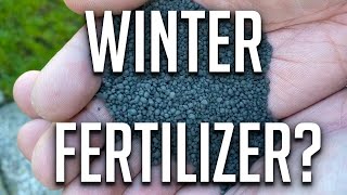 Winter Fertilizer Should you apply fertilizer during winter or is it a waste of money [upl. by Aninad]