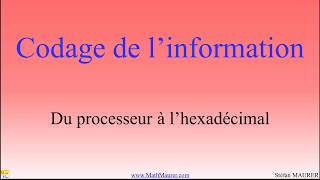 Codage de linformation  binaire et hexadécimal [upl. by Ennayehc]