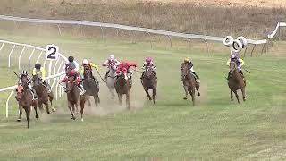 Walcha 2024 02 10 Race 5 [upl. by Reade928]