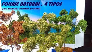 como hacer ARBOLES para MAQUETASDIORAMAS yo BELENES  FOLLAJE natural  4 TIPOS 2021 [upl. by Kristoffer]