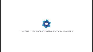 Central Térmica Cogeneración Timbues [upl. by Merrily433]