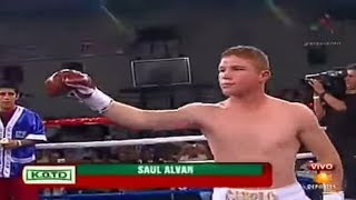 Saul Alvarez  Michel Rosales [upl. by Yenattirb269]