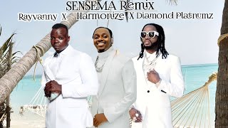 RAYVANNY FT HARMONIZE amp DIAMOND PLATNUMZ  SENSEMA Remix  OFFICIAL MUSIC VIDEO 2024 [upl. by Caterina]