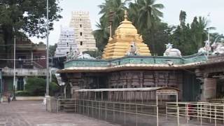 SRISAILAM MALLIKARJUNA SWAMY TEMPLE IN ANDHRA PRADESH  NALLAMALA FOREST [upl. by Cerallua]