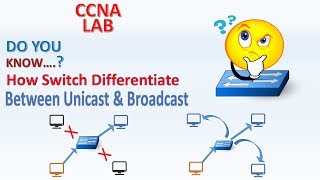 How Switch Understand Unicast vs Broadcast IG Bit Part2 LAB [upl. by Mylander]