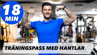 GRYMT TRÄNINGSPASS MED HANTLAR  TRAINWITHSMAIL [upl. by Aitak]