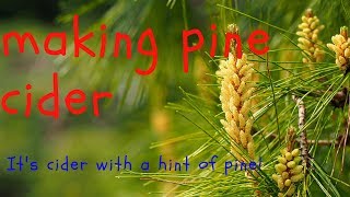 making cider with hints of pine [upl. by Acsisnarf]