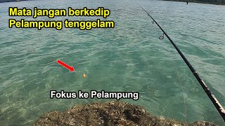 Jangan Berkedip Pelampung Hilang di Depan Mata Mancing Pinggir Laut Pakai Pelampung Umpan Udang [upl. by Lak]