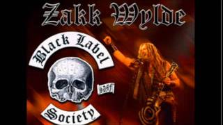 Black Label Society  Zakk Wylde  In This River Acoustic [upl. by Aihsenek]