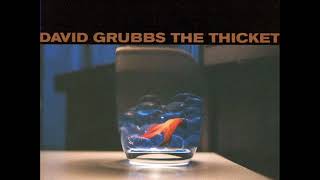 David Grubbs  The Thicket 1998  FULL ALBUM [upl. by Sculley144]