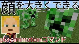 【playanimationコマンド】クリーパーの顔をデカくする方法 [upl. by Ytsim]