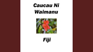 Lusi Wale Noqu Vaka Bauta [upl. by Esom]