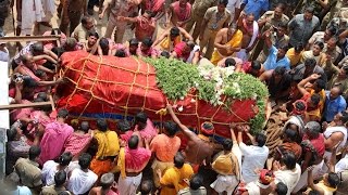 Nabakalebara  Devi Subhadras Daru Entering the Shree Mandir Puri [upl. by Nimesay196]