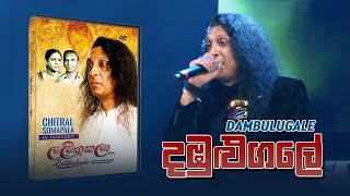 DambuluGale  දඹුලුගලේ   Chitral Somapala Live In Concert [upl. by Nahtad]