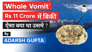 What is Whale Vomit Why is Ambergris so expensive Yemeni fishermen find Rs 11 cr worth Vomit Gold [upl. by Smart961]