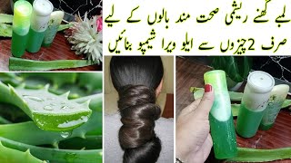 Homemade Aloe Vera Herbal shampoo Get Thick Long Dandruff Free Hair Fastest Hair Growth [upl. by Willner]