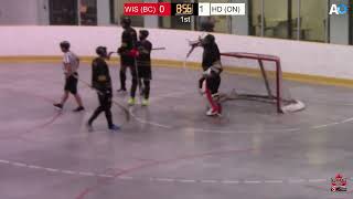 D  Quarter Final Hamilton Ducks ON vs Wiserhood BC [upl. by Einnob]