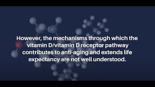 Antiaging Effect of Vitamin D and Vitamin D Receptor in Drosophila Midgut  AgingUS [upl. by Notnef757]