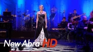 Waldemar Malicki amp Filharmonia Dowcipu  Operowe hity HD [upl. by Ainatit]