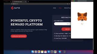 How to buy CLY token on httpsclytieio [upl. by Magnum]