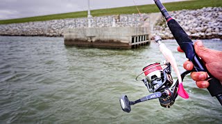 Jigging BIG SWIMBAITS For GIANT Flathead Catfish Surprising [upl. by Nyasuh]