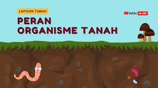 PERAN ORGANISME TANAH  TANAH DAN KEBELANGSUNGAN KEHIDUPAN [upl. by Jasmina541]