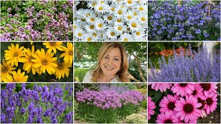 10 Perennials That Look GREAT in the HEAT 🌸🌼🌿  Garden Answer [upl. by Worra]