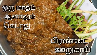 பிரண்டை ஊறுகாய்Pirandai picklePirandai recipes in tamilpirandai food healthy cool lunchbox [upl. by Menard]