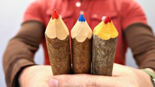 How To Make Branch Crayons [upl. by Aleusnoc922]