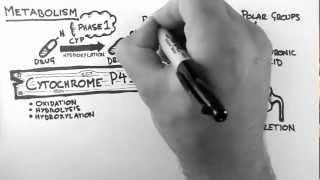 Pharmacokinetics 4  Metabolism [upl. by Whitney]