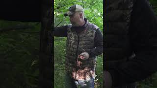 Old logging roads are great for trail cams deer deerhunting [upl. by Short]