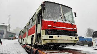 Ikarus 280 26 26017 Odpalanie Perły Diesel cold Start 2023 www kultowy ikaruscom kultowyikarus [upl. by Frazer]