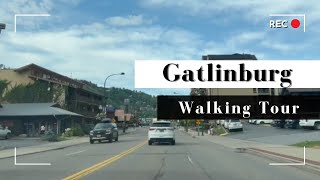 Walking Tour of Downtown Gatlinburg Tennessee 2024 [upl. by Cloe]