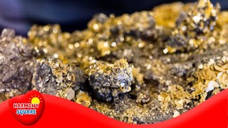 What are Minerals  More Grades 912 Science on the Learning Videos Channel [upl. by Bible]