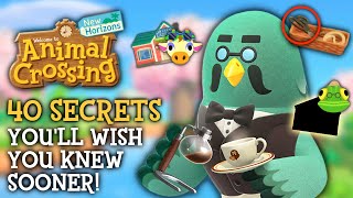 40 SECRETS Youll WISH You Knew Sooner  Animal Crossing New Horizons [upl. by Nohsram860]