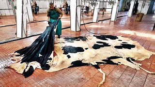 Amazing Modern Automatic Cow Farming Technology  Incredible Cowhide Processing Factory [upl. by Kotto457]