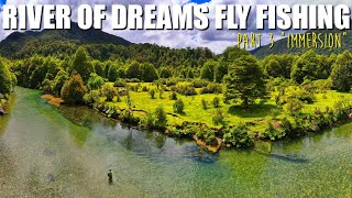 quotIMMERSIONquot  Dry Fly Fishing the River of Dreams  Patagonia Brown Trout Fly Fishing Part 3 [upl. by Sidonia]