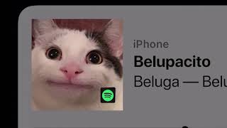 BelugaBelupacito official video [upl. by Sergei397]