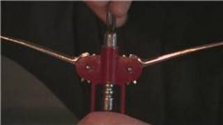 Wine Advice  How to Open Wine With a Lever Opener [upl. by Teleya]