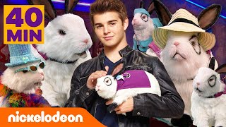 Thundermans  Maratona do Dr Colosso Coelhinho por 40 minutos  Nickelodeon em Português [upl. by Ikcir880]