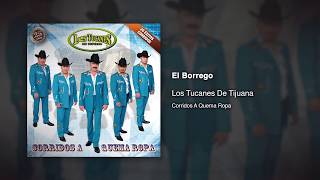 El Borrego  Los Tucanes De Tijuana Audio Oficial [upl. by Ardnuassac]