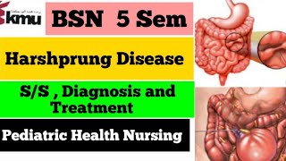 Hirschsprung Disease Pediatric Nursing  Pediatric Health Nursing  BSN 5 Sem by Farman [upl. by Lanod]