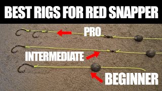 Best Red Snapper Rigs for any experience level [upl. by Brade]